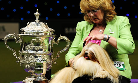 CRUFTS 2012 live blog – Best in Show | Life and style | guardian.