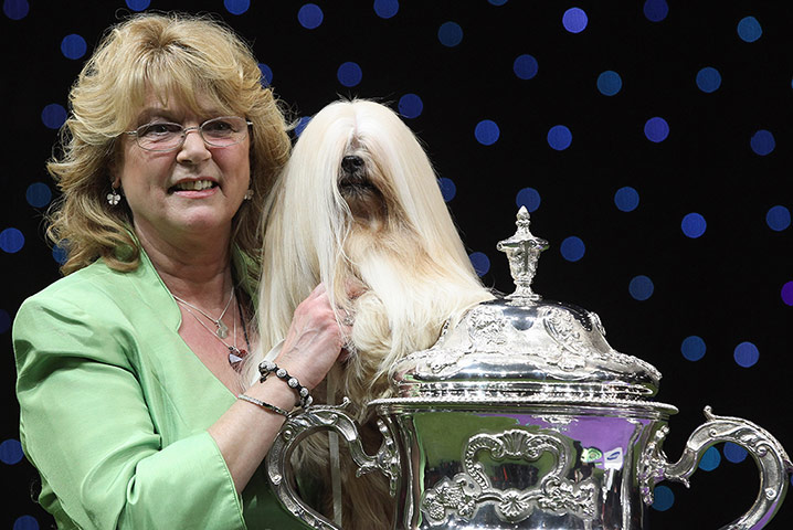Crufts final day winners: Crufts final day winners