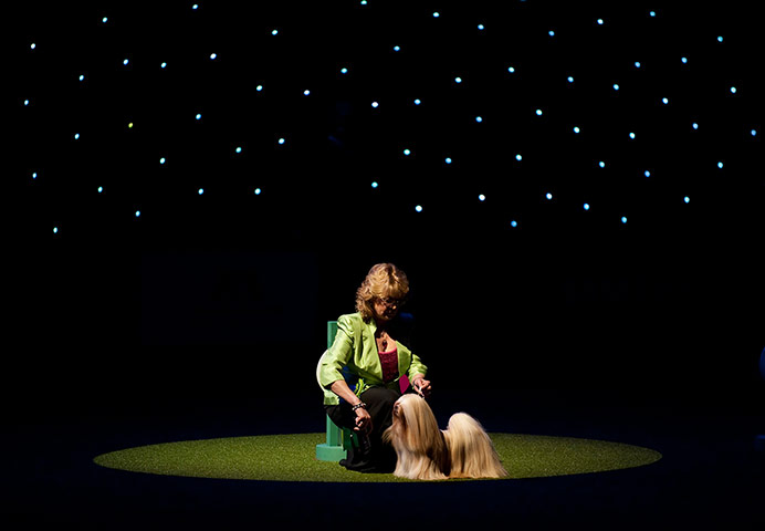 Crufts final day winners: Crufts final day winners