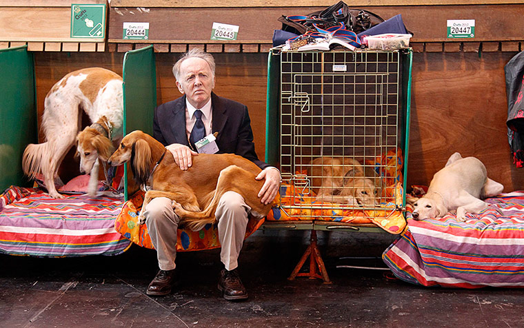 Crufts final day winners: Crufts final day winners