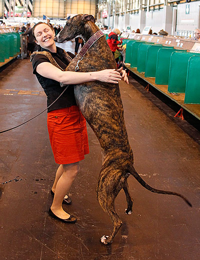 Crufts final day winners: Crufts final day winners