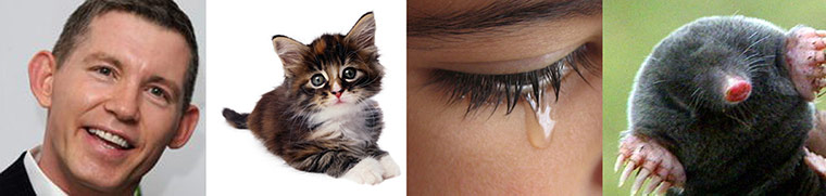 Lee Cattermole: Lee Cattermole