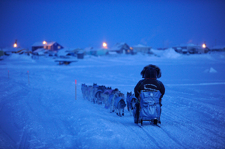 24 hours in pictures: Iditarod trail sled dog race