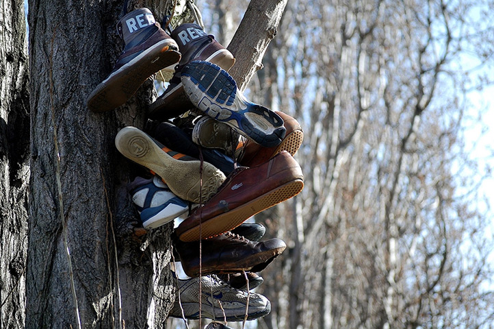 YesBut found objects: 6 Shoetree 