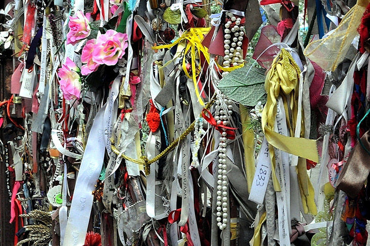 YesBut found objects: 4 Winchester Geese