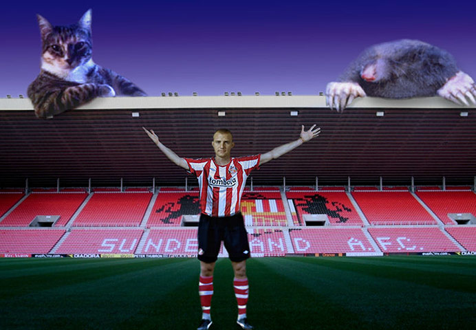 Lee Cattermole: Lee Cattermole 12