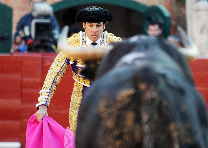 24 hours in pictures: Francisco Rivera performs during a bullfight at Valencia bullring