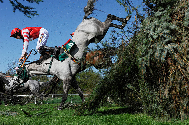 TJ SJA: Adrian Heskin falls off Alpha Beat at Aintree