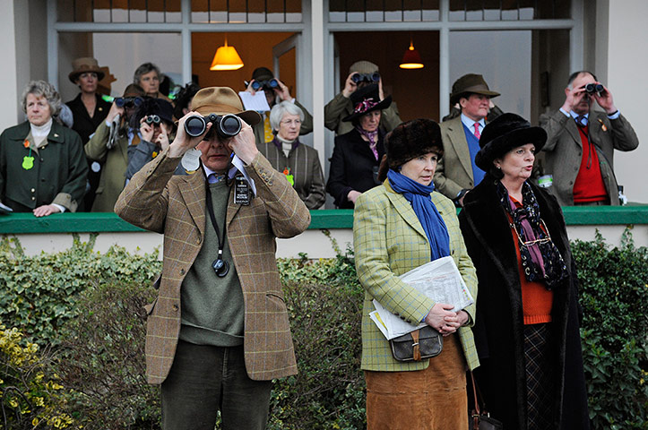 racing: cheltenham racing