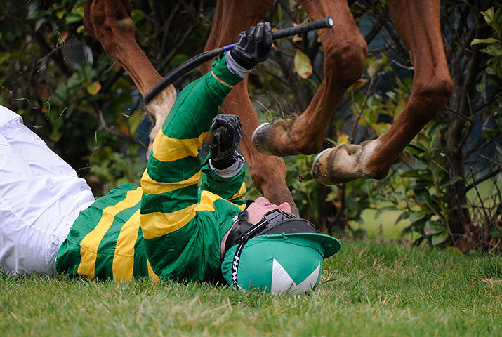 racing: cheltenham racing