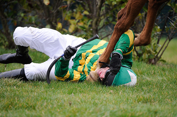 racing: cheltenham racing