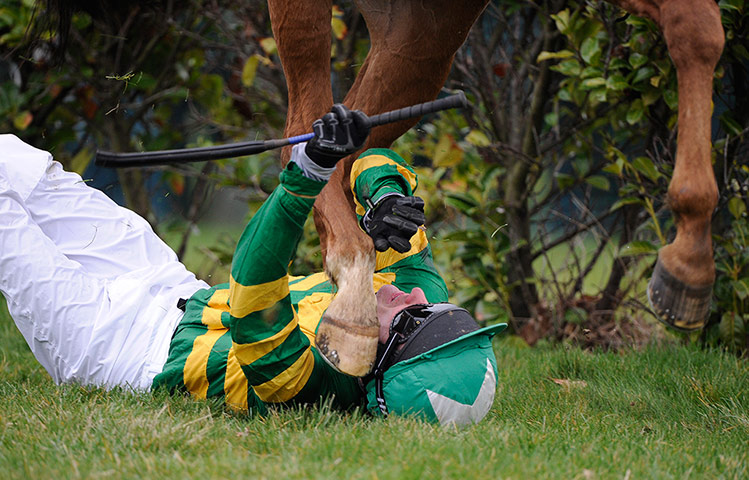 racing: cheltenham racing