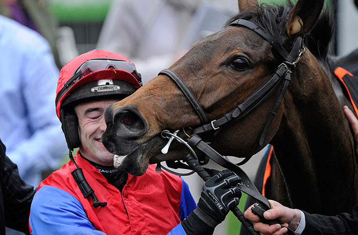 racing -: cheltenham racing