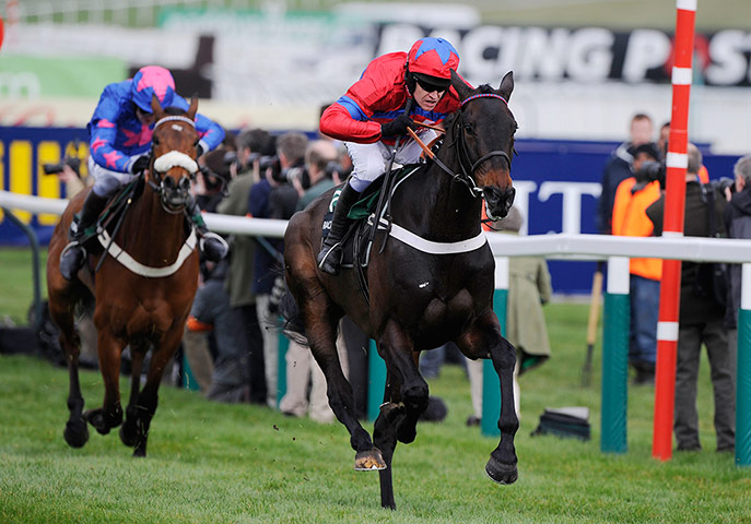 racing -: cheltenham racing