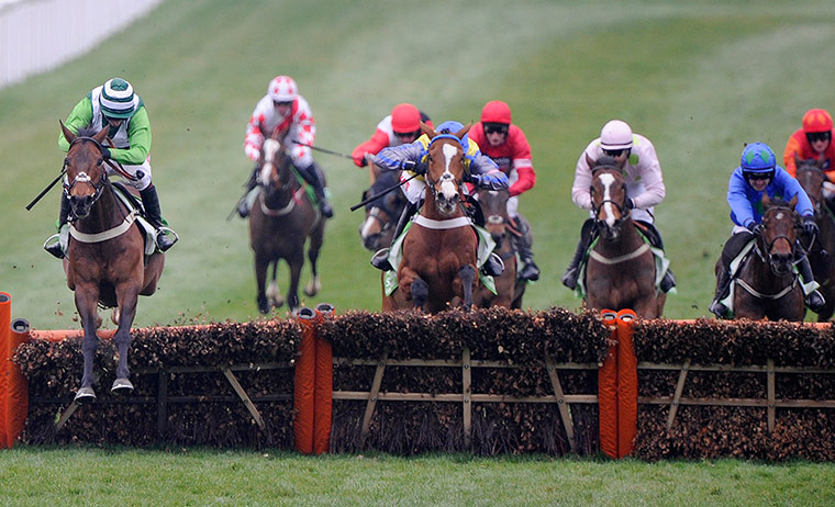 racing -: cheltenham racing