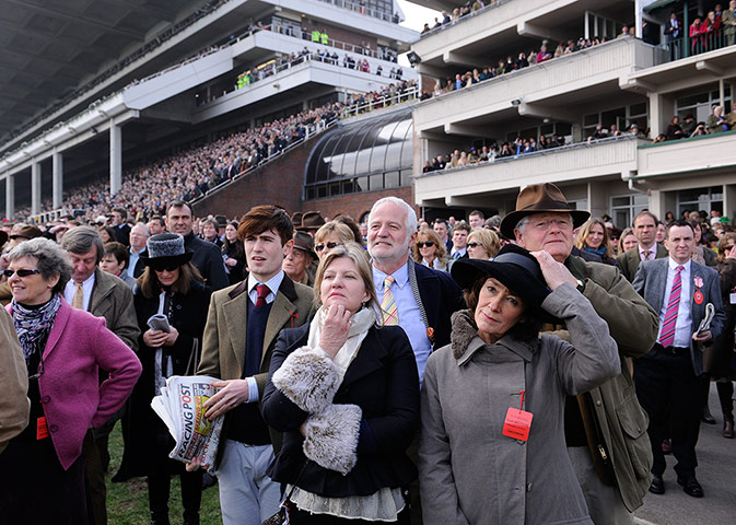 Cheltenham day 2: The packed stands watching the first race at Cheltenham