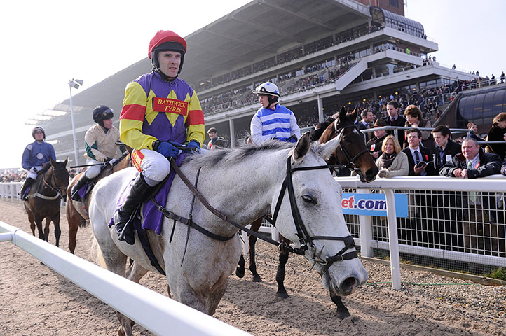 Cheltenham day 2: Grand Crus and jockey Tom Scudamore after the RSA Chase at Cheltenham
