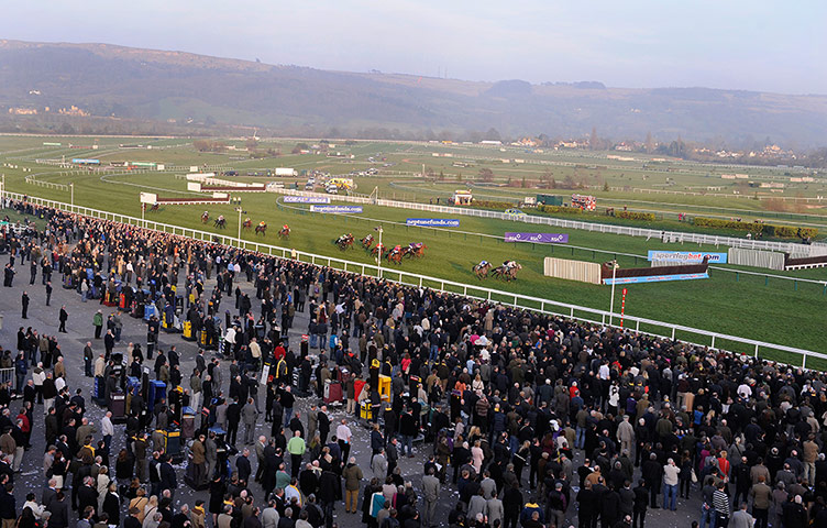 Cheltenham ladies day: Champagne Fever wins the Weatherbys Champion Bumper at Cheltenham