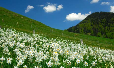 switzerland mountain swiss climate soil agriculture environment reveals ecosystems change