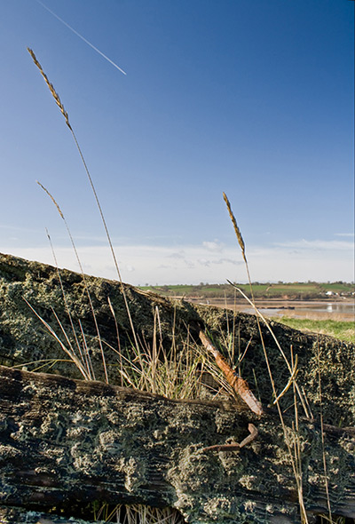 GethinThomas assignment: The Purton Hulks, Hull Planking