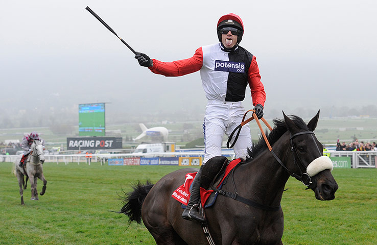 racing: cheltenham racing