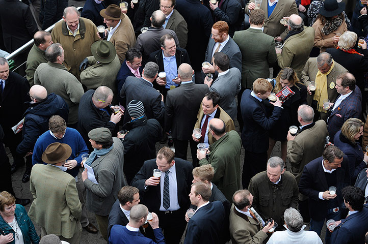 racing2: cheltenham racing