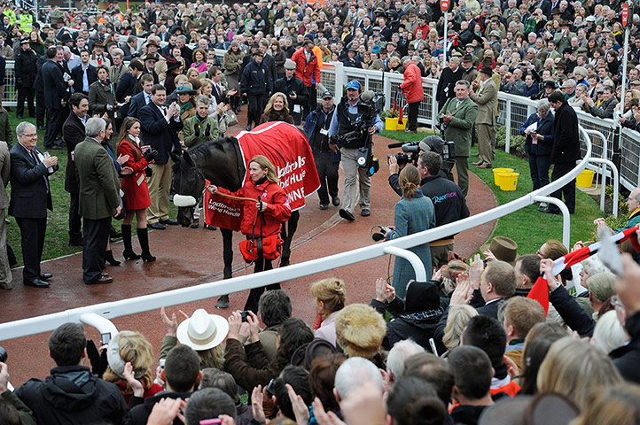 racing2: cheltenham racing