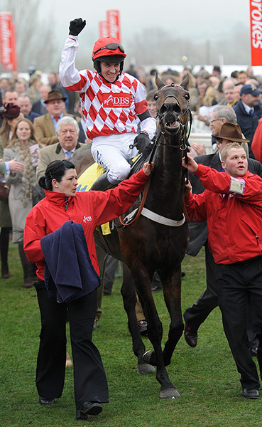 racing2: cheltenham racing