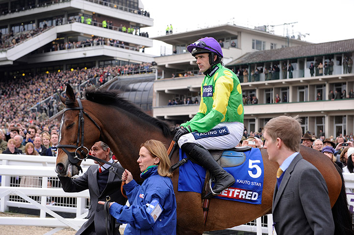 horses2: cheltenham racing