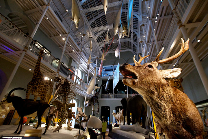 Edinburgh City: New Capital of Cool: Edinburgh