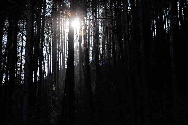 Week in wildlife: wildfire in a forest in the northeastern region of Catalonia
