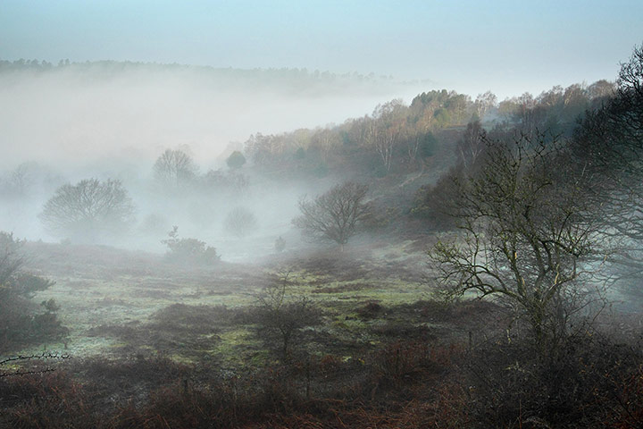 Week in wildlife: Devil's Punch Bowl returned to nature