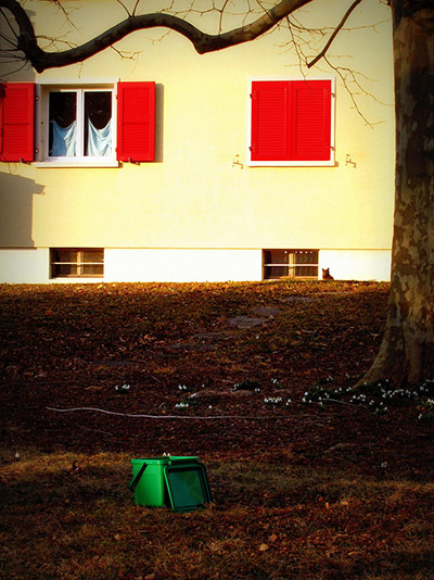 Guardian Camera Club: Overthemoon participates in the photographing found objects assignment