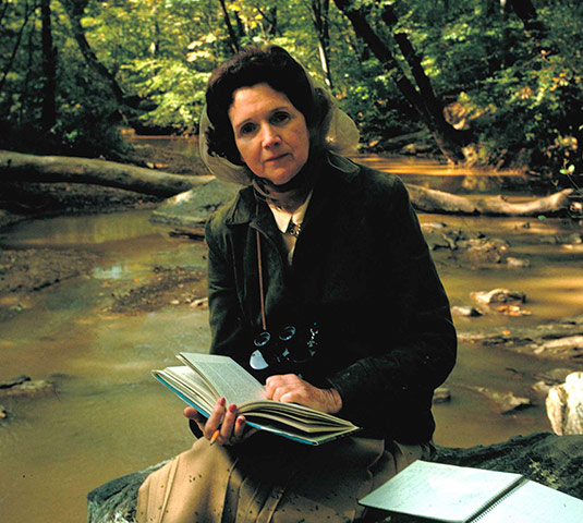 The 10 best: Rachel Carson