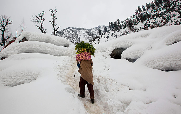 Snow: Snow in Kashmir
