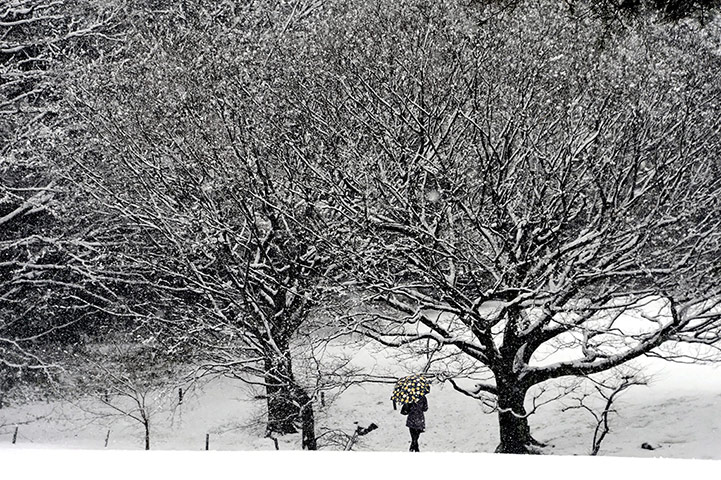 Snow: Heavy snow affects wide areas in eastern Japan