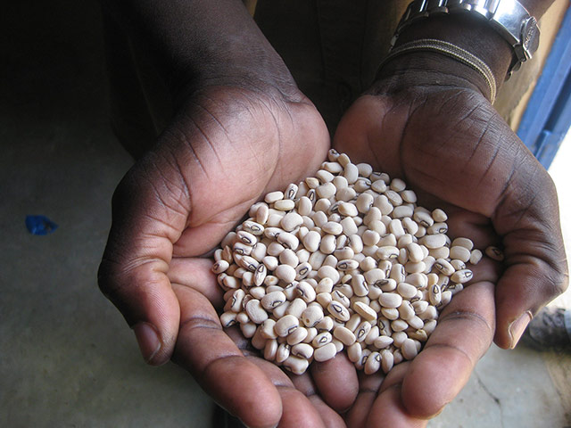 Journalism Competition: International Development Journalism Competition 2012: Jack Craze