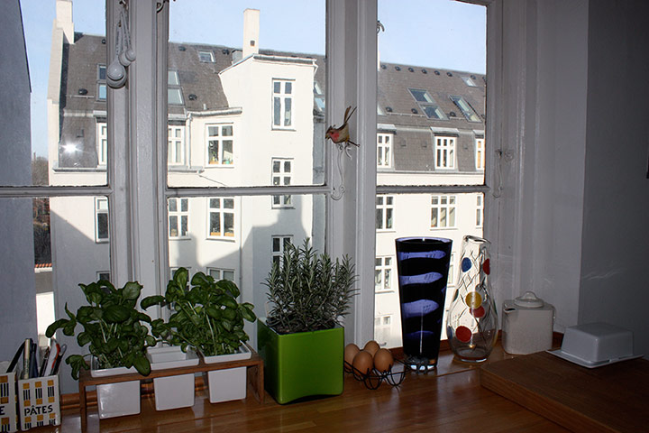 Style experts home: The view over Copenhagen from Cathy Strongman's kitchen window