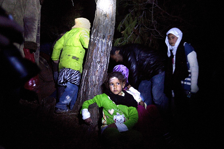 24 hours in pictures: Syria: Refugees walk through woods