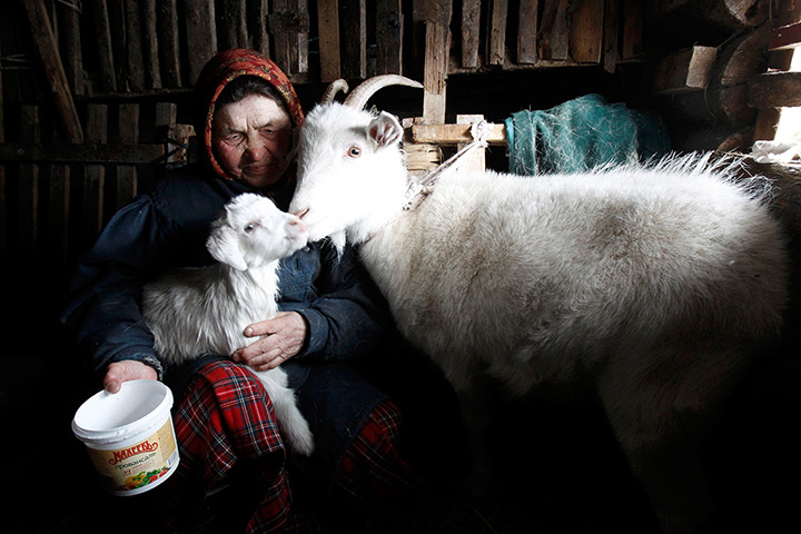 Russia's Eurovision: Ekaterina Shklyaeva, 74, feeds a goat at her home in Buranovo 