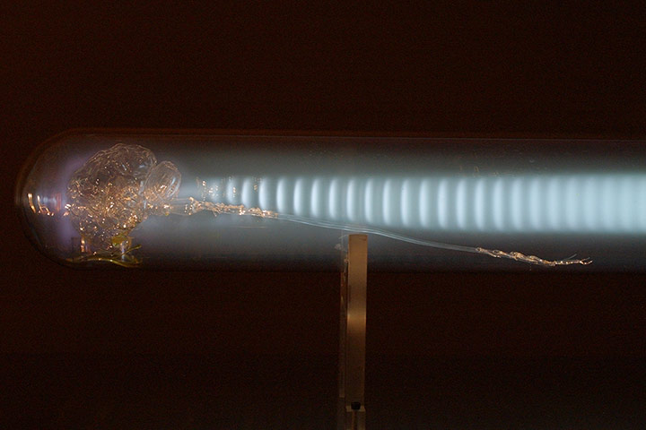 Exhibitionist 24/03: Mirror Neurons