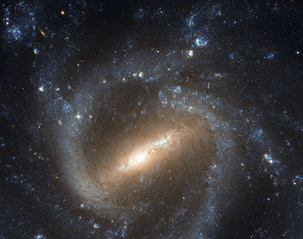 Month in space: the barred spiral galaxy NGC 1073