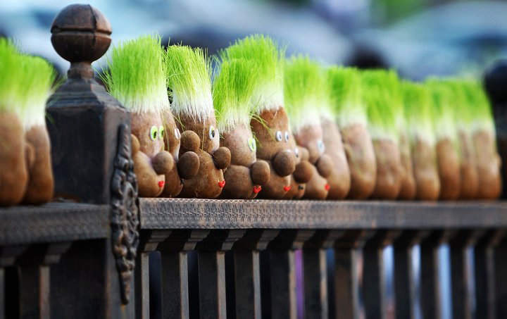 Nowruz: Persian New Year, or Nowruz