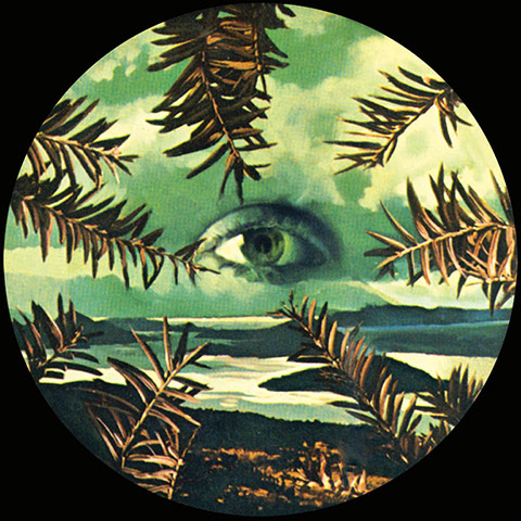 A Good Look 2403: Lilacs & Champagne