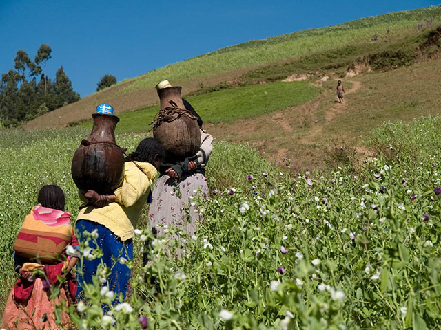 Water day: and water related issues