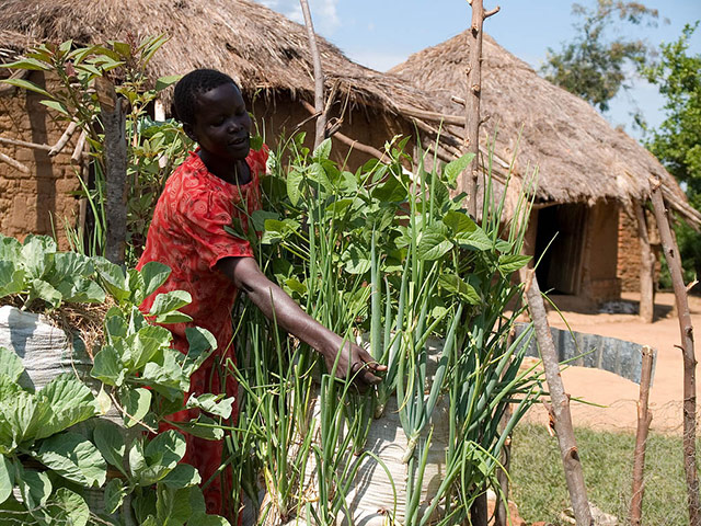 Water day: and water related issues
