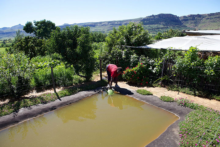 Water day: and water related issues