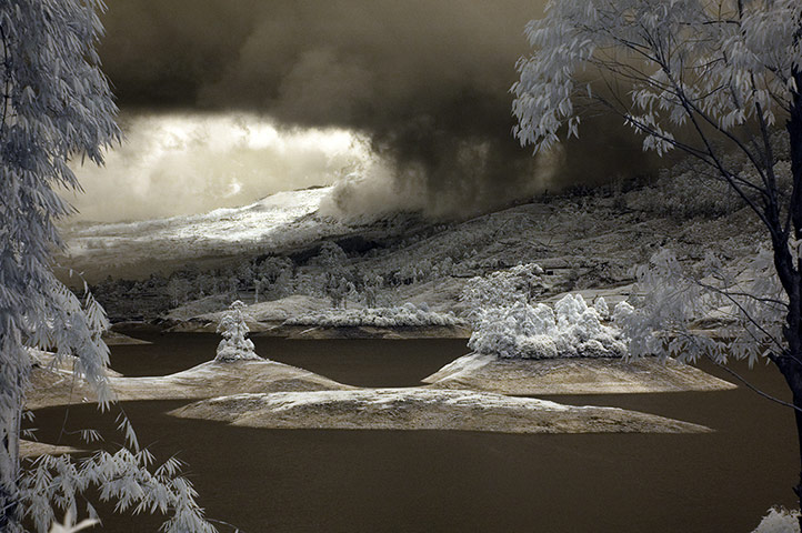 Readers' pictures: Sri Lankan tea plantation