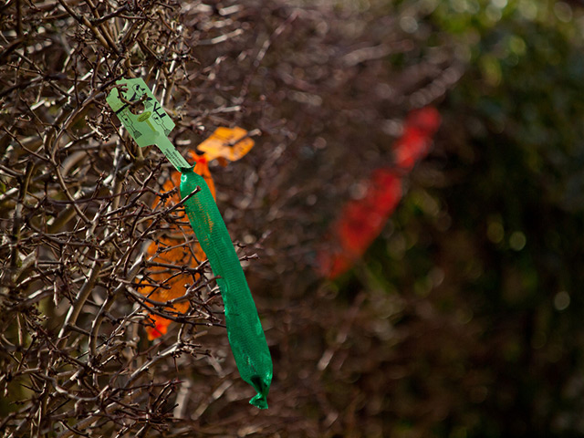 Pat Gregory found objects: Bird Feeders