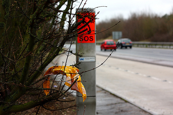 Maxine Moss found objects: sos